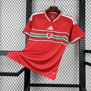 Gales 2026 Mundial Camiseta 1ª Equipación