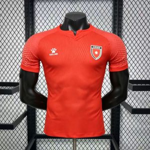 Jordan 2026 Mundial Camiseta 2ª Equipación · Versión Jugador